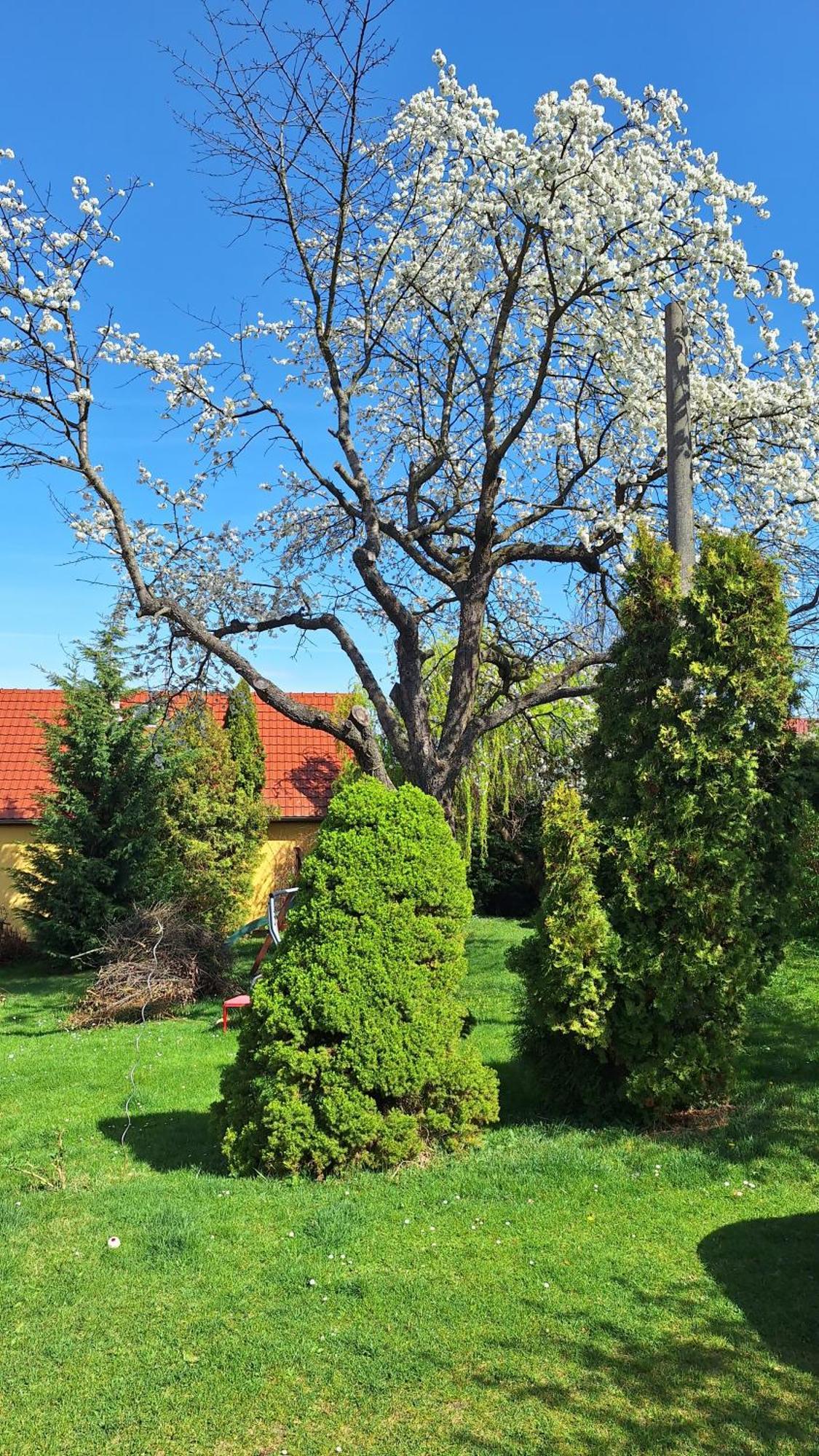 Appartamento Prague Zbraslav Old Garden Esterno foto